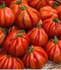Tomato "Cuor di bue", Minigarden Organic Seeds