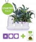 Minigarden Salads and Aromatic Starter Pack