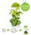 Minigarden Vertical Vegetable Garden Starter Pack