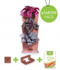 Minigarden Vertical Vegetable Garden Starter Pack