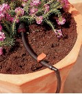 Set of 9 Hooks to Fix and Position the Minigarden Micro Drip Pipe