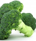 Broccoli "Ramoso Calabrese", Minigarden Organic Seeds