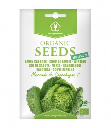 Savoy Cabbage "Mercado de Copenhague 2", Minigarden Organic Seeds