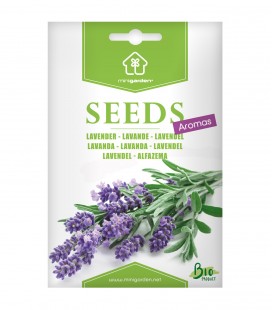 Lavender, Minigarden Seeds
