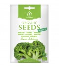 BRASSICA Selection, Minigarden Organic Seeds