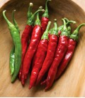 Chili Pepper "De Cayenne", Minigarden Organic Seeds