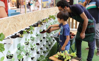 Horticulture Workshops for Children and Grown-Ups – Vertical Kitchen Garden